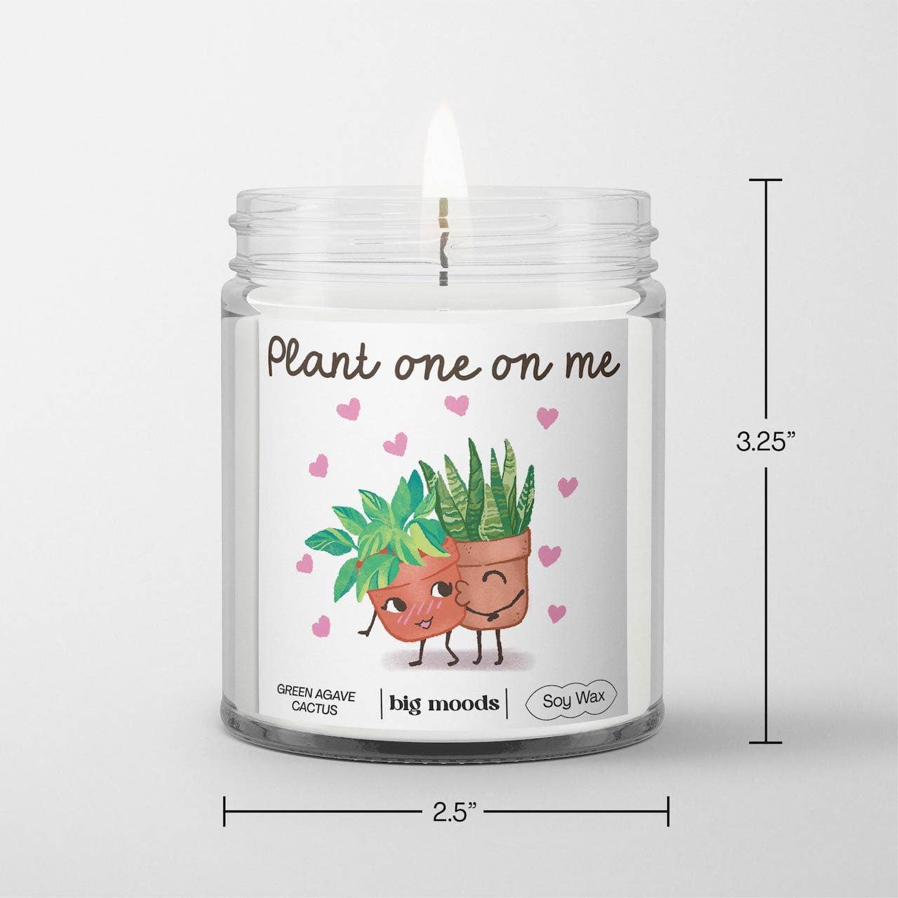 "Plant One On Me" Green Agave Cactus - 5oz Soy Candle