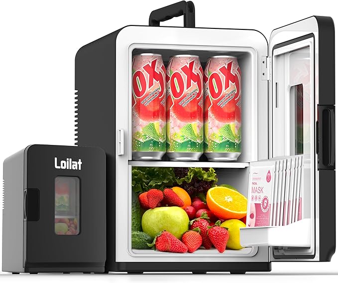 Mini Fridge / Warmer