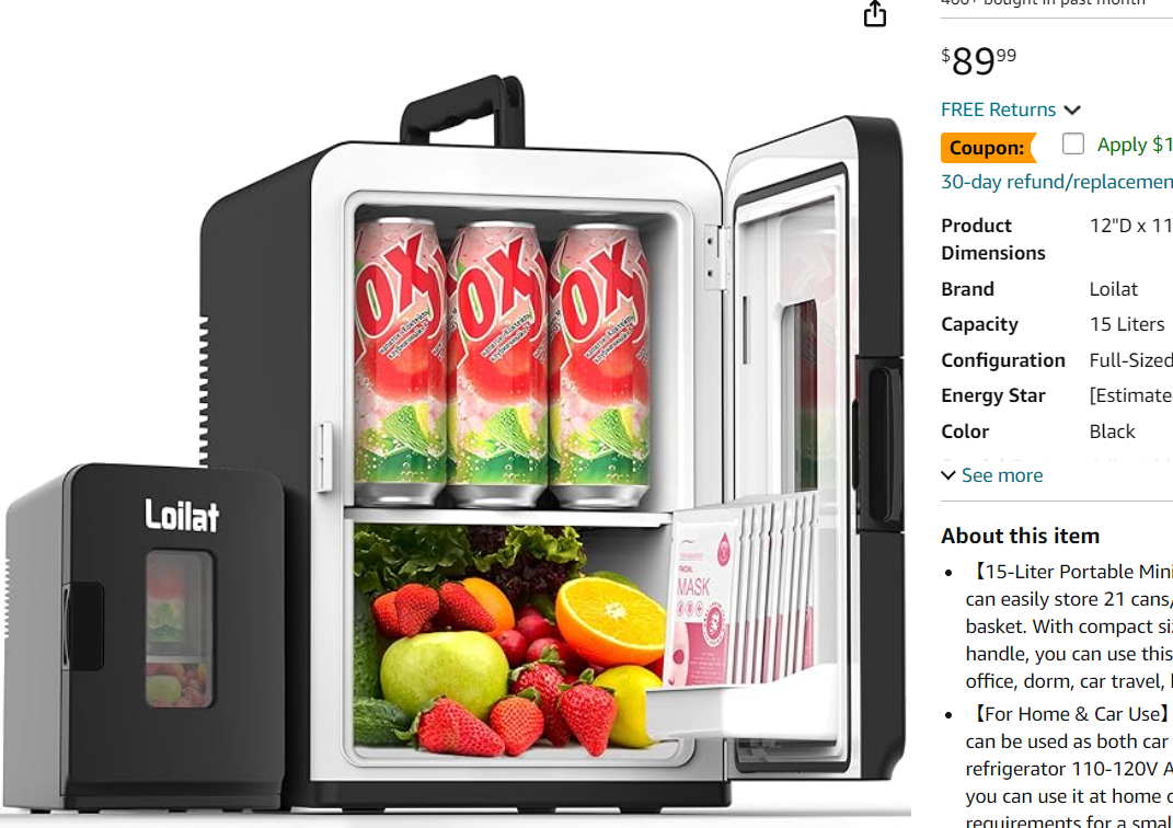 Mini Fridge / Warmer